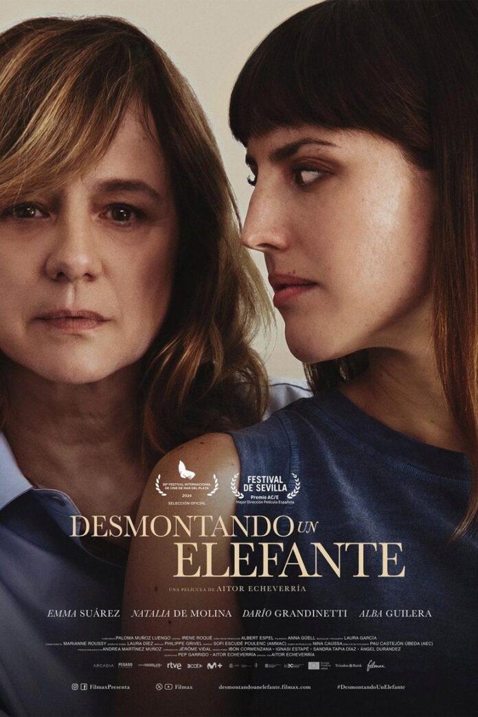 desmontando-un-elefante-poster.jpg